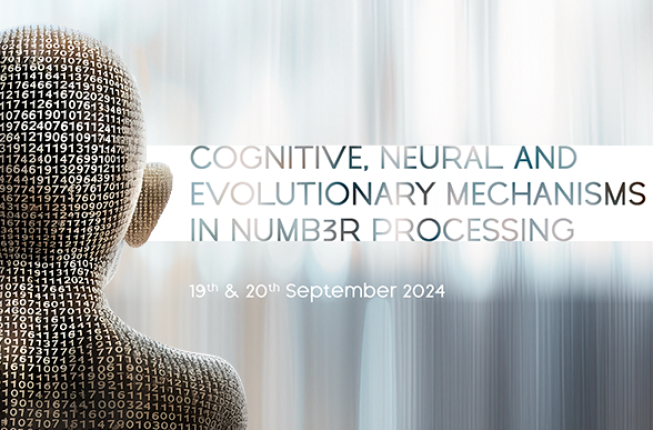 Collegamento a Cognitive, Neural and Evolutionary mechanisms in Number processing