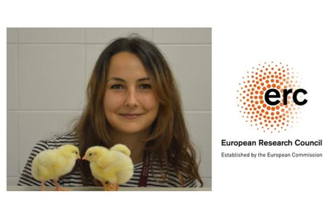 Collegamento a ERC SYNERGY GRANT: quasi 4 milioni di Euro al progetto FLAP